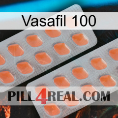 Vasafil 100 27